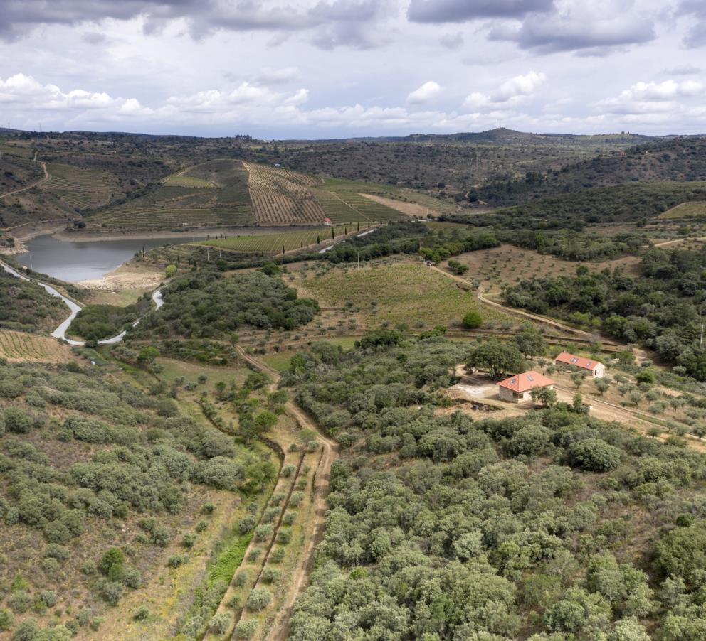 Quinta da Vineadouro — Family Vineyards & Wine Hotel